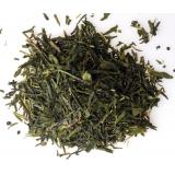 THE VERT SENCHA