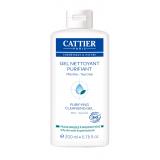 GEL NETTOYANT PURIFIANT