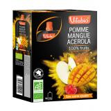 GOURDE MANGUE ACEROLA X4