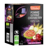 GOURDE POMME GOYAVE CRANBERRY X4