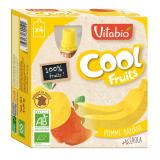 COOL FRUIT POMME BANANE X4