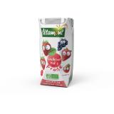 COCKTAIL KID'S FRAISE TETRA 20CL