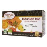 INFUSION BIEN ETRE HIVERNAL REDON