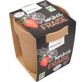 SORBET FRAISE59318 KILIMANDJABIO