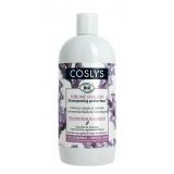 SHAMP CHEVEUX COLORES MECHES