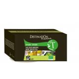 THE VERT CEYLAN A LA MENTHE X50 INFUSETT