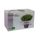 INFUSION THYM X20 INFUSETTES