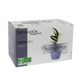 INFUSION ECALYPTUS X20 INFUSETTES