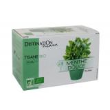 INFUSION MENTHE DOUCE X20 INFUSETTES