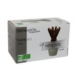 INFUSION REGLISSE X20 INFUSETTES