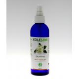 EAU FLEUR D'ORANGER 200ML