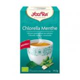 YOGI CHLORELLA MENTHE