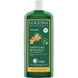 SHAMPOO REPARATEUR ARGOUSIER