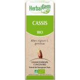 CASSIS 50ML